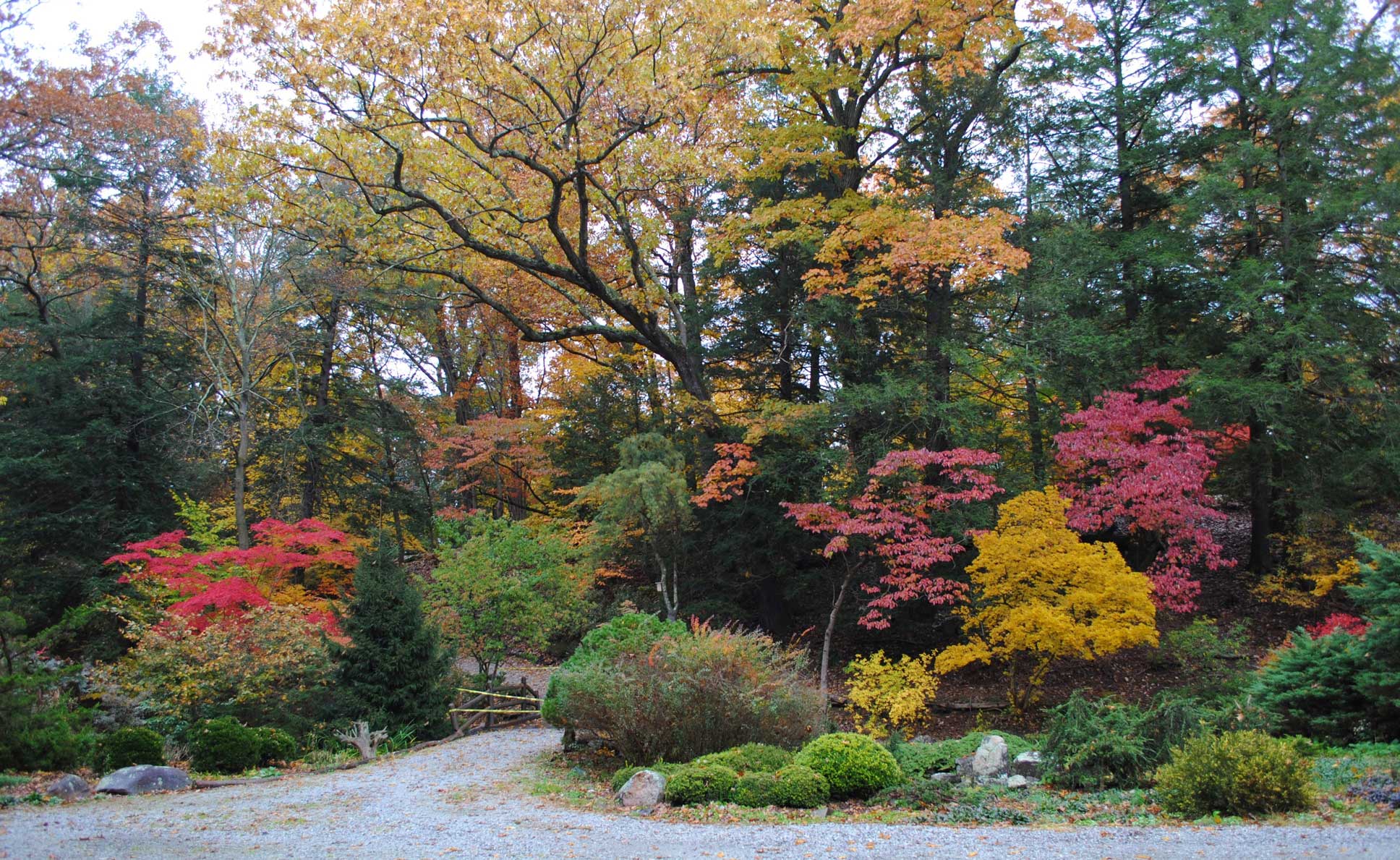 arboretum tours